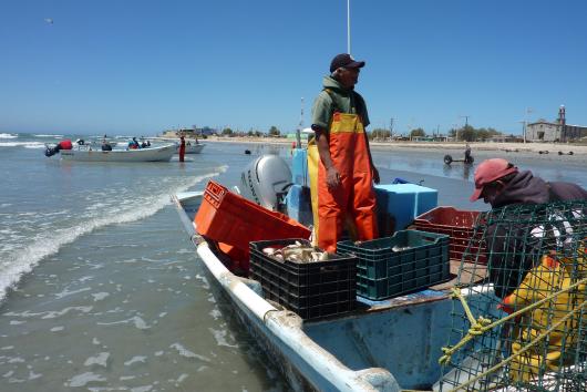 FEDECOOP Fishermen, Punta Abreojos, Mexico
