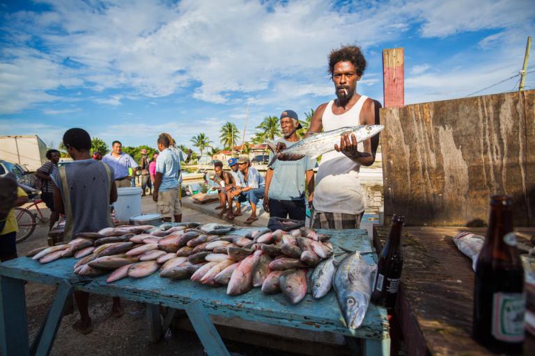 fishmarket
