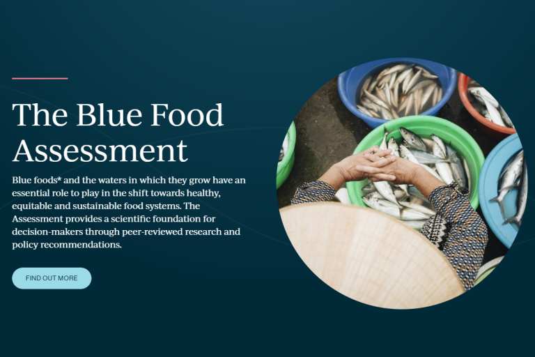 Screenshot of the Blue Foods Assessment home page