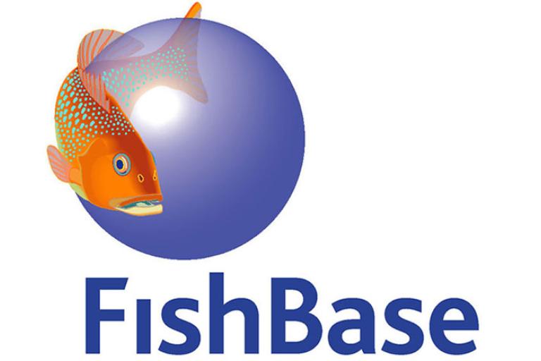 FishBase Nutrient Analysis Tool | EDF Fishery