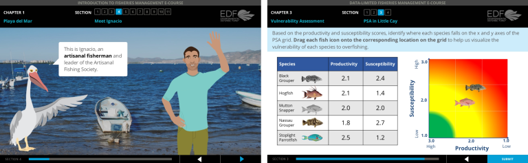 Screencapture from the Virtual Fisheries Academy