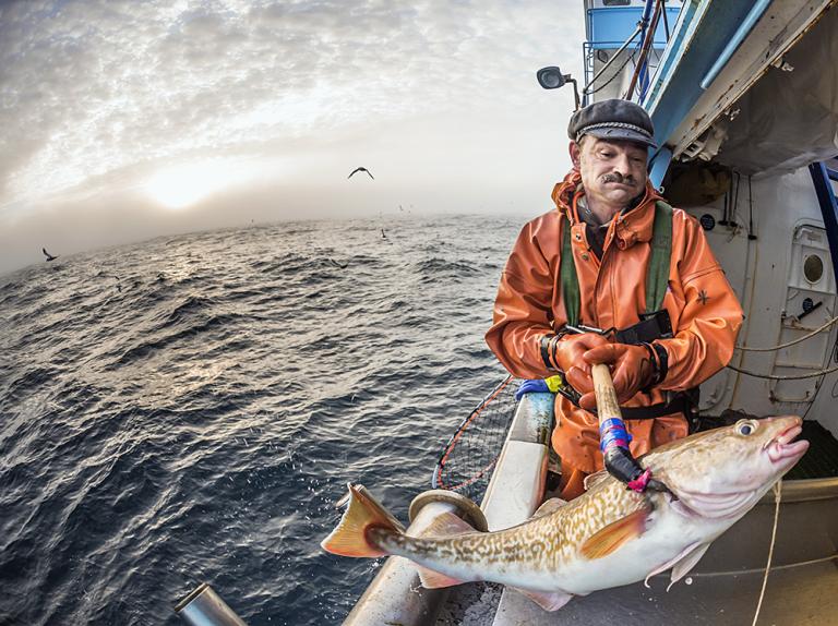 Alaskan Non-Pollock Fisherman