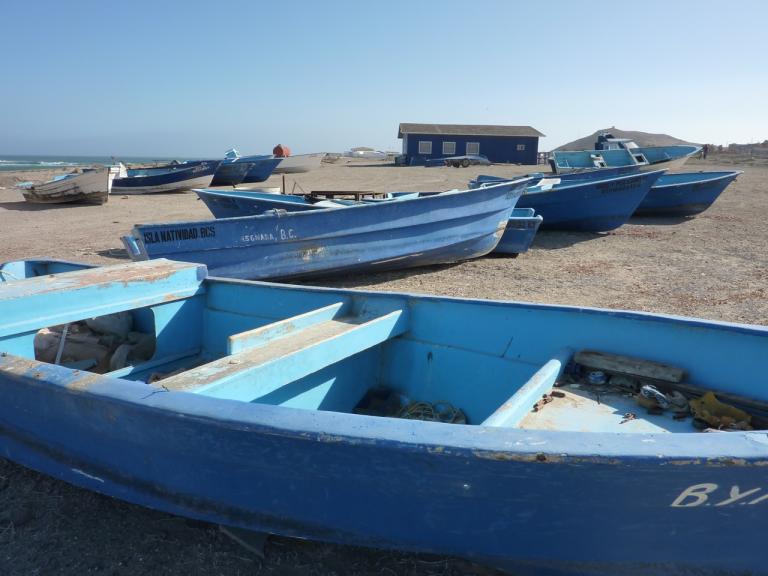 FEDECOOP Fishing boats, Punta Abreojos, Mexico