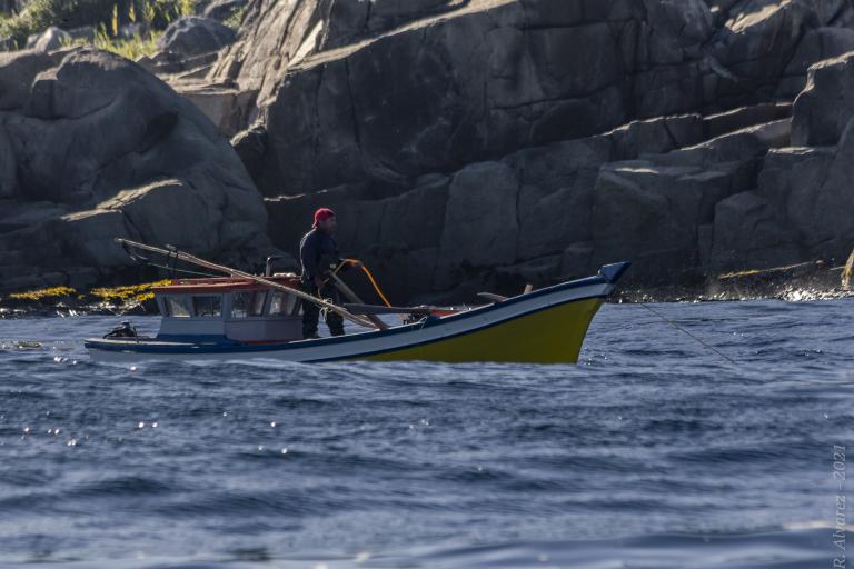 Los Rios, Chile fisherman