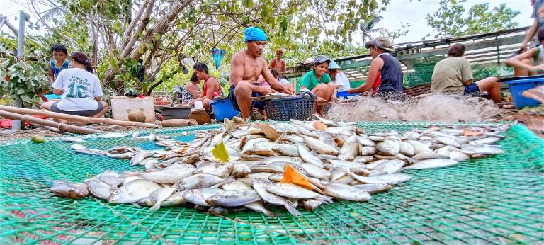 A family of Siganids fishers in Maliwaliw Island, Eastern Samar, Philippines