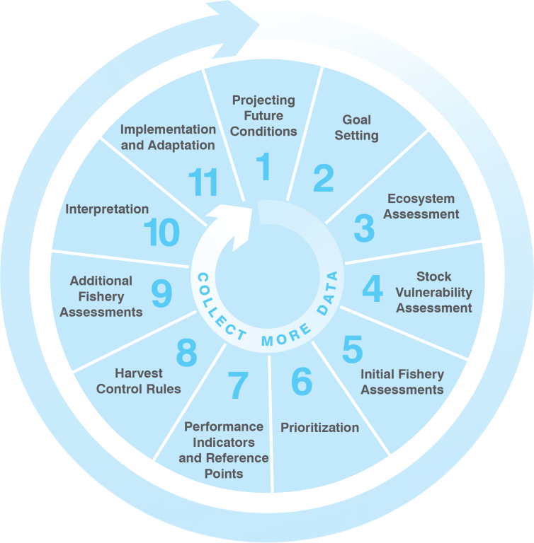 FISHE Process