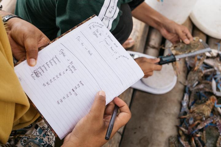 scorecard