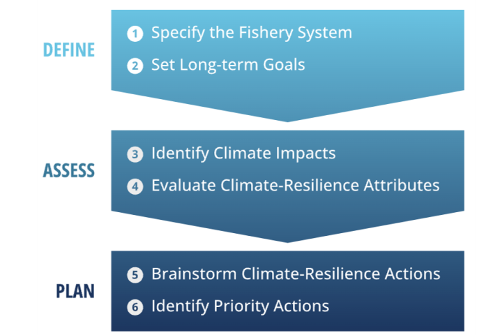 CRF Planning Process